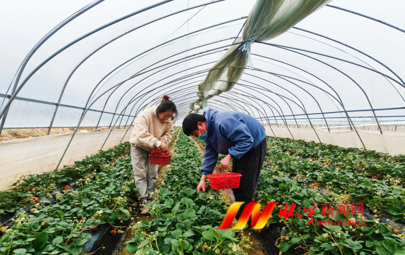 圖片3.png 圖片3.png