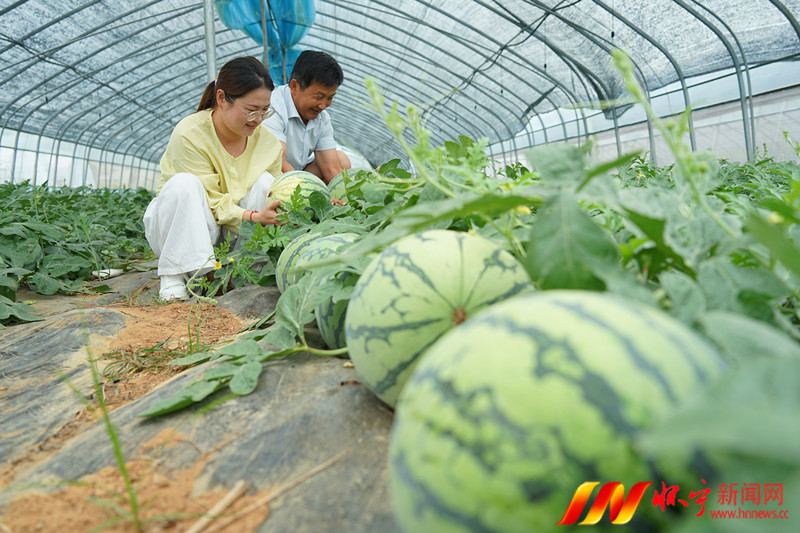 甜了舌尖 鼓了腰包.JPG